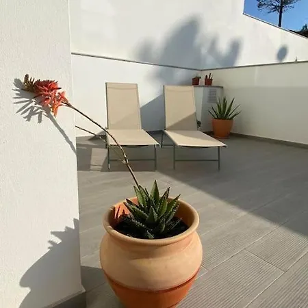 Apartment Colibri - Stylish Interior & Near The Aljezur